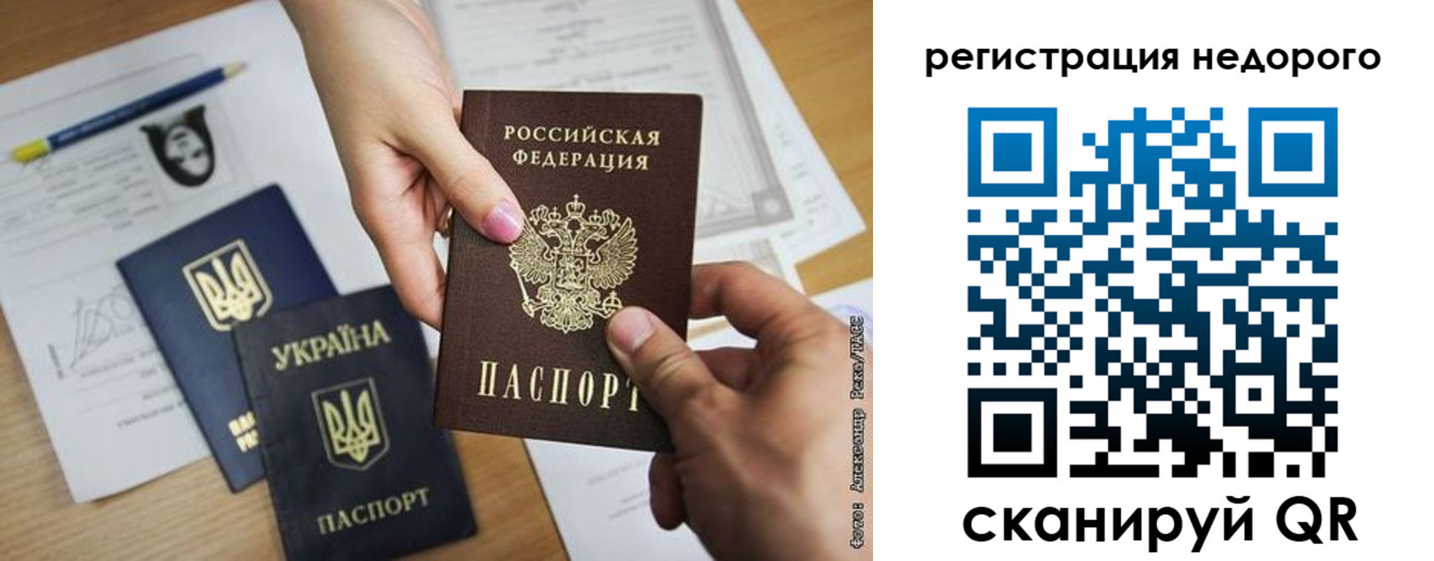 прописка в Курской области